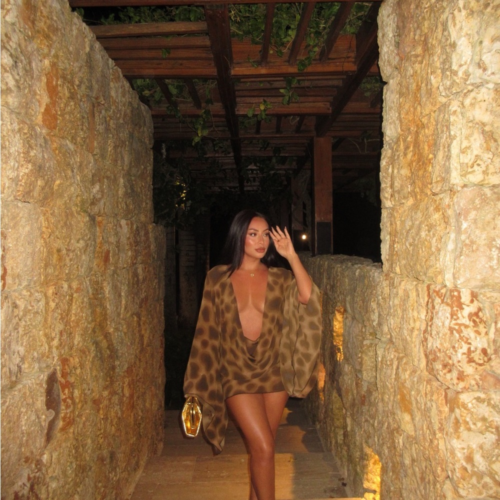 Stylish Brown Leopard Print Dress